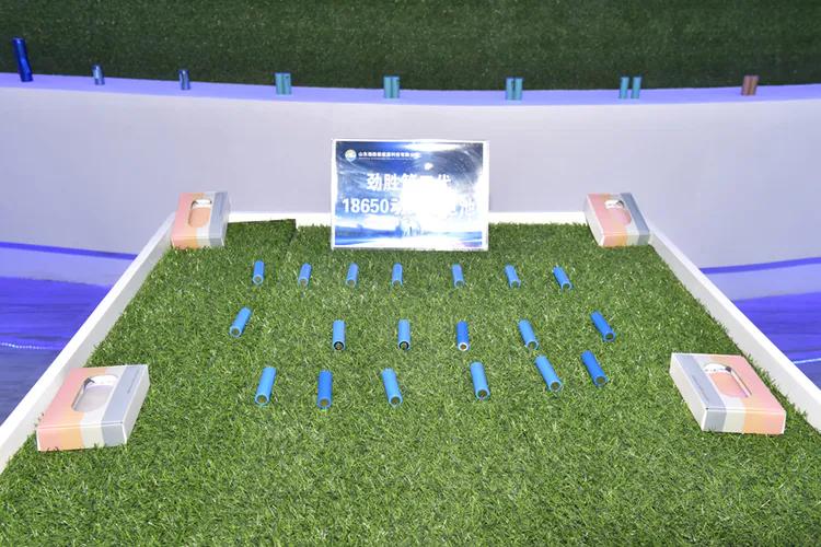 劲胜新能源科技有限公司,山东劲胜新能源科技有限公司