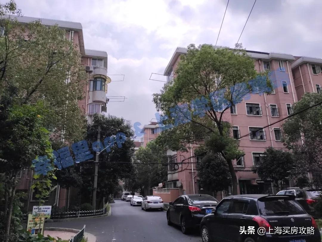 闵行区平南小学怎么样,中环双学区房多少钱