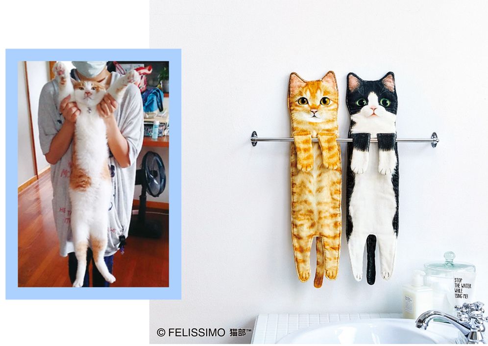 吸一口就爽到!让900万猫奴直呼过瘾的文创店,我真的服了