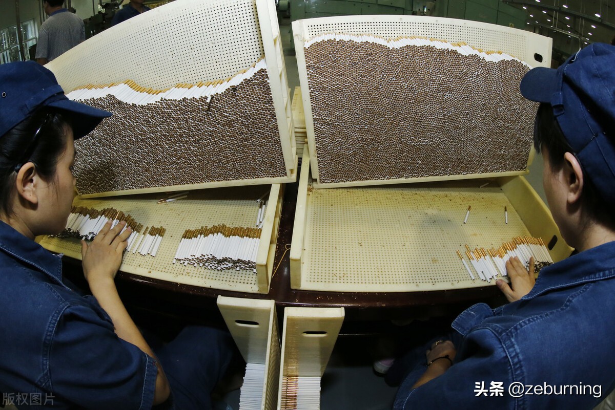 烟草公司应届毕业生比较好进入吗,烟草专业毕业生进烟厂