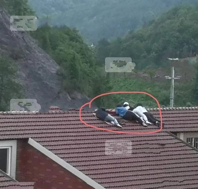 代拍赚钱项目有哪些,那些代拍是怎么赚钱的