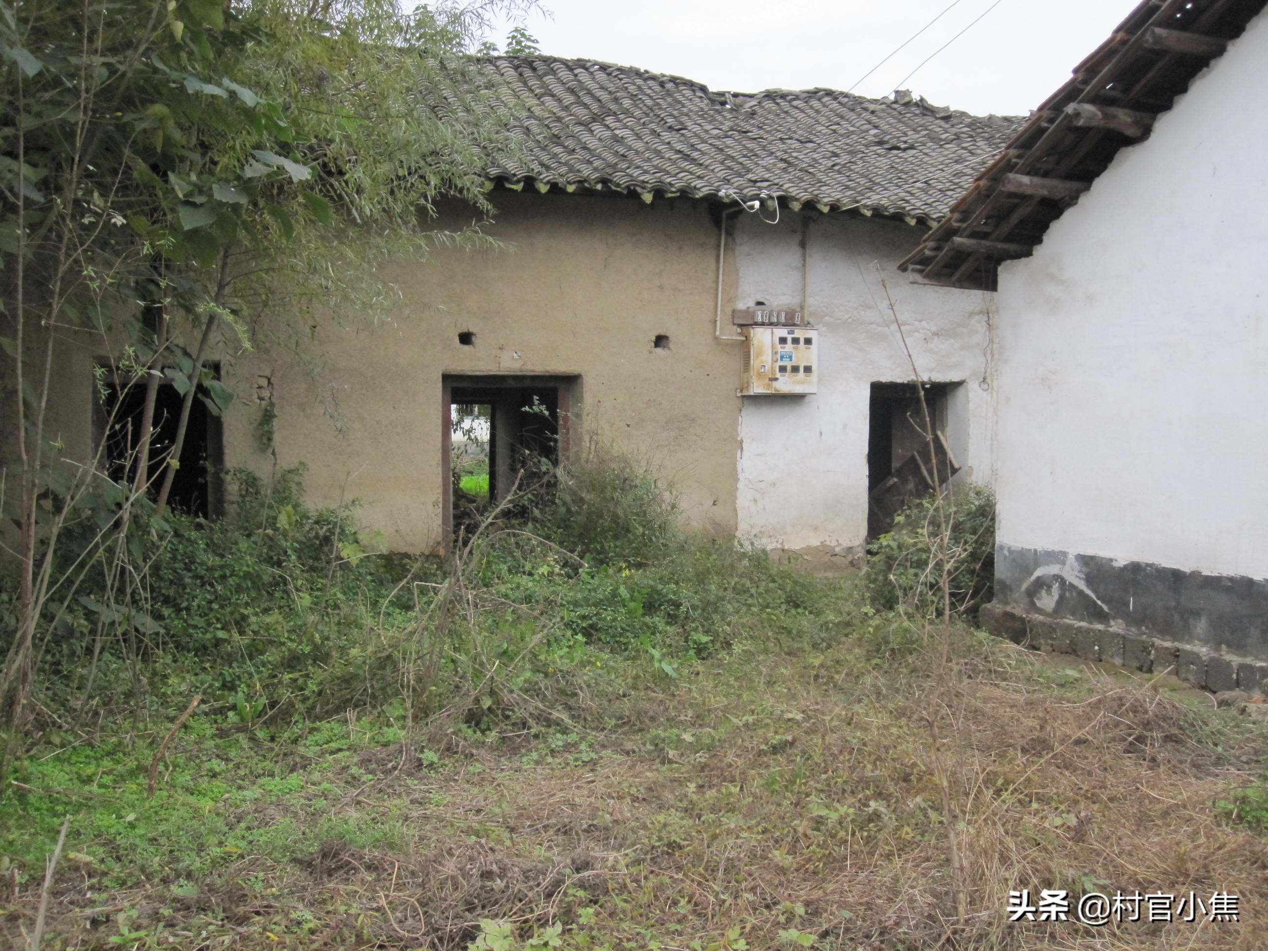 户籍不在农村有宅基地怎么办,户口不在村里宅基地怎么确权