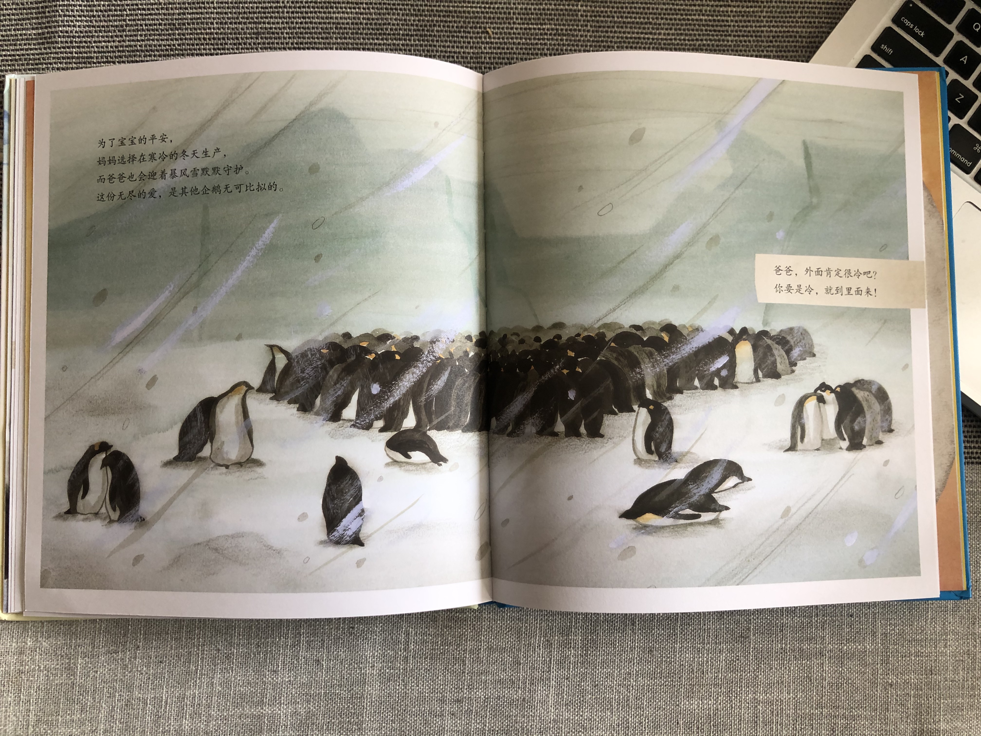 和帝企鹅学习做家长:父母原始的爱,是孩子由内而外的力量