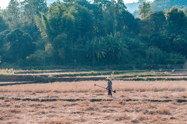 去清迈度假享受片刻的宁静,12月的清迈