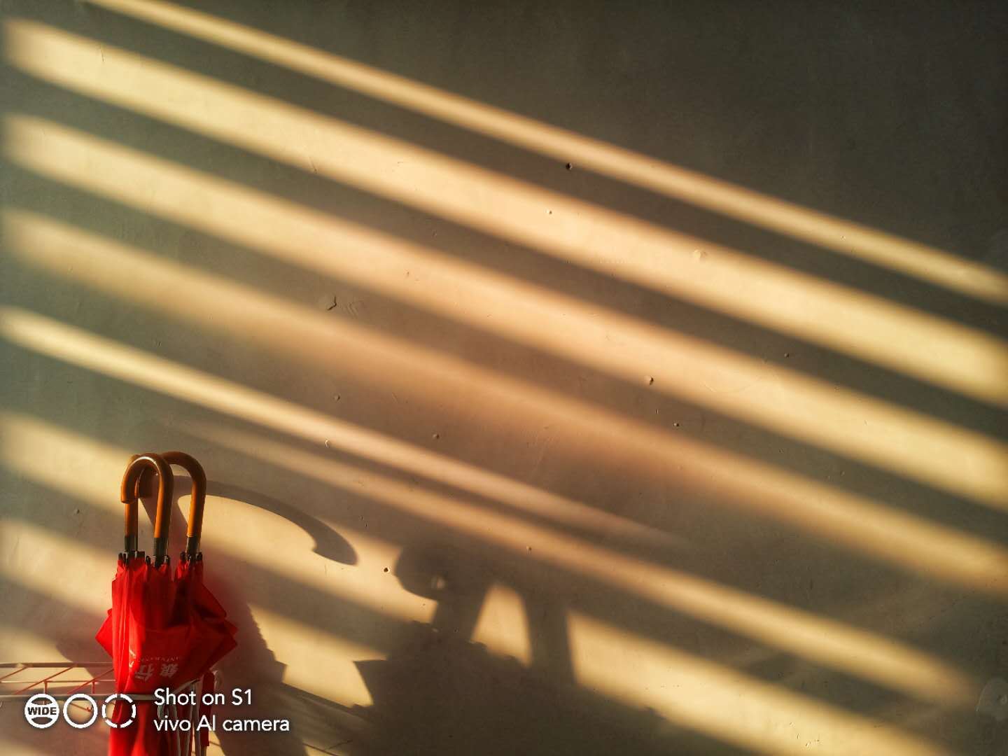 用过vivos12感觉如何,vivos1有哪些亮点