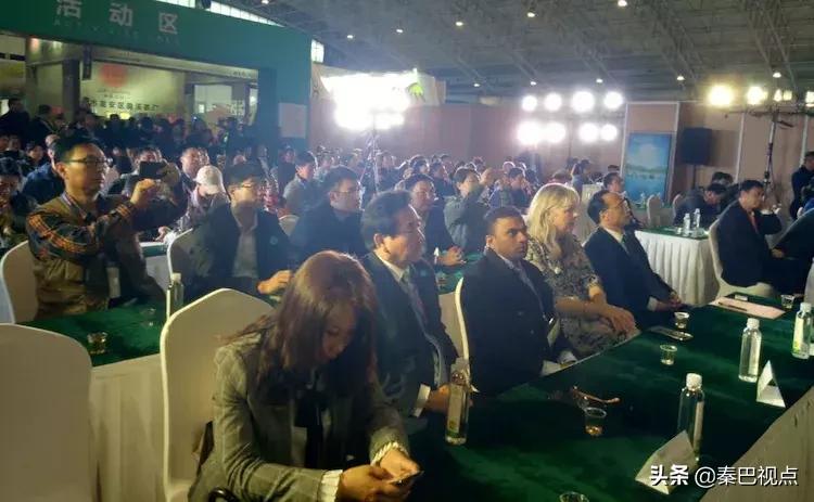 秦汉古茶价格,秦汉古茶图片