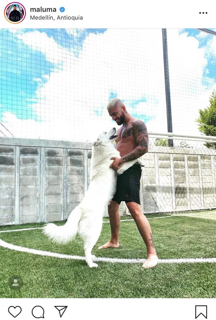 从足球天才到足球巨星,从足球王子到超级巨星免费阅读