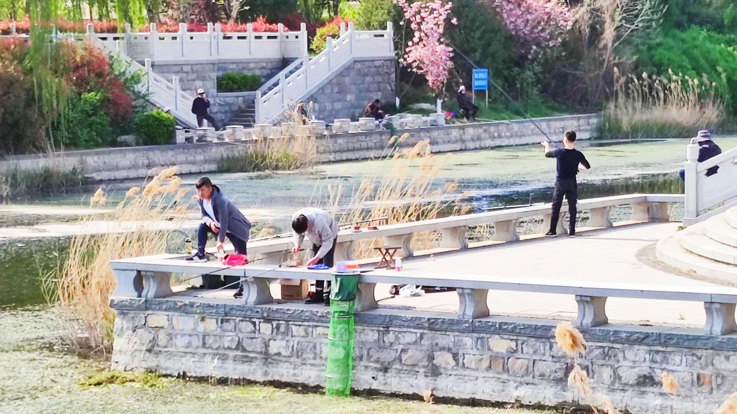 夏天鲫鱼钓着钓着停口怎么回事,黑坑鲫鱼突然停口怎么办