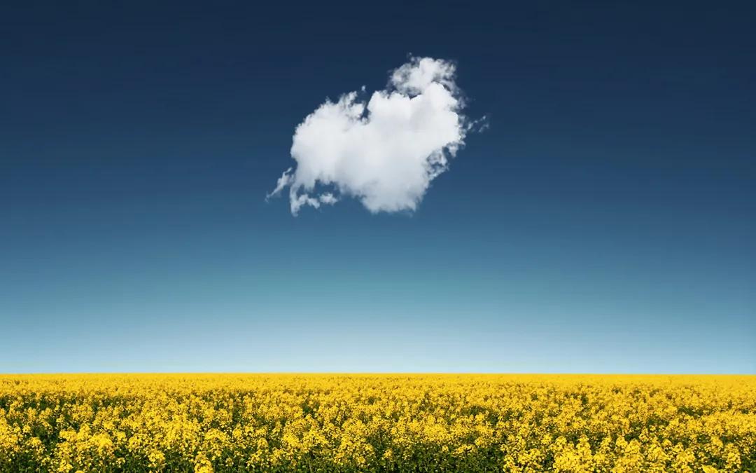 全部的成语收藏起来回家教给孩子,如何和孩子一起积累成语