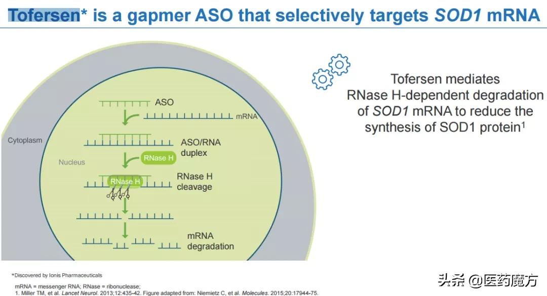 渤健生物科技有限公司渐冻症药物,渤健渐冻症