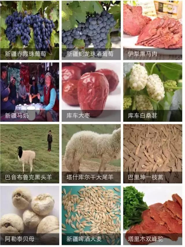 南北疆的特产有哪些,盘点十大新疆的特产