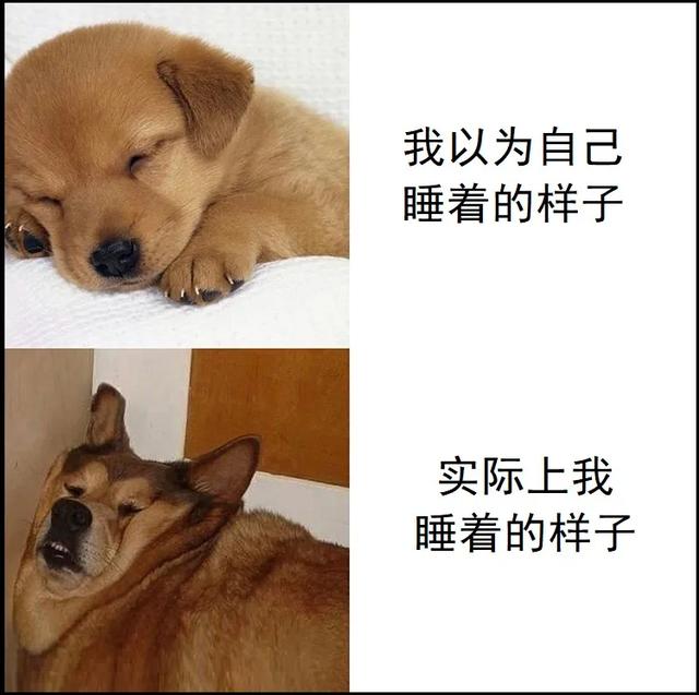 求兼职的表情包,表情包兼职可靠吗