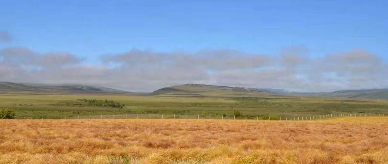 「深度」担保公司债券担保效力哪家强?