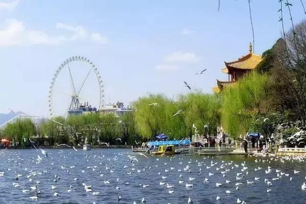 五一小长假昆明周边露营地点推荐,昆明周边户外露营游