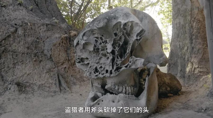 只为一串佛珠,他活剥了我妈的皮:人心有多可怕,你根本想象不到