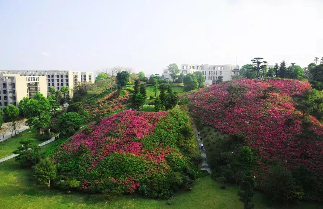 确认过眼神是哪首歌里面的歌词,确认过眼神的诗句