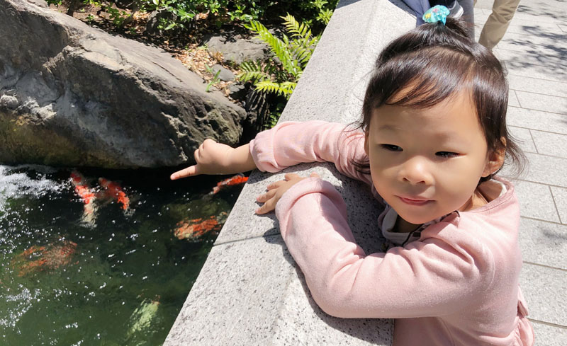 浅草寺旅游攻略,日本东京旅游攻略自由行浅草寺