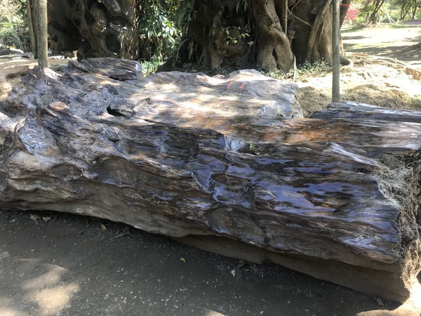 鑺掑競鍜岃吘鍐茬憺涓藉摢涓ソ,鑵惧啿鐟炰附鑺掑競瑗垮弻鐗堢撼