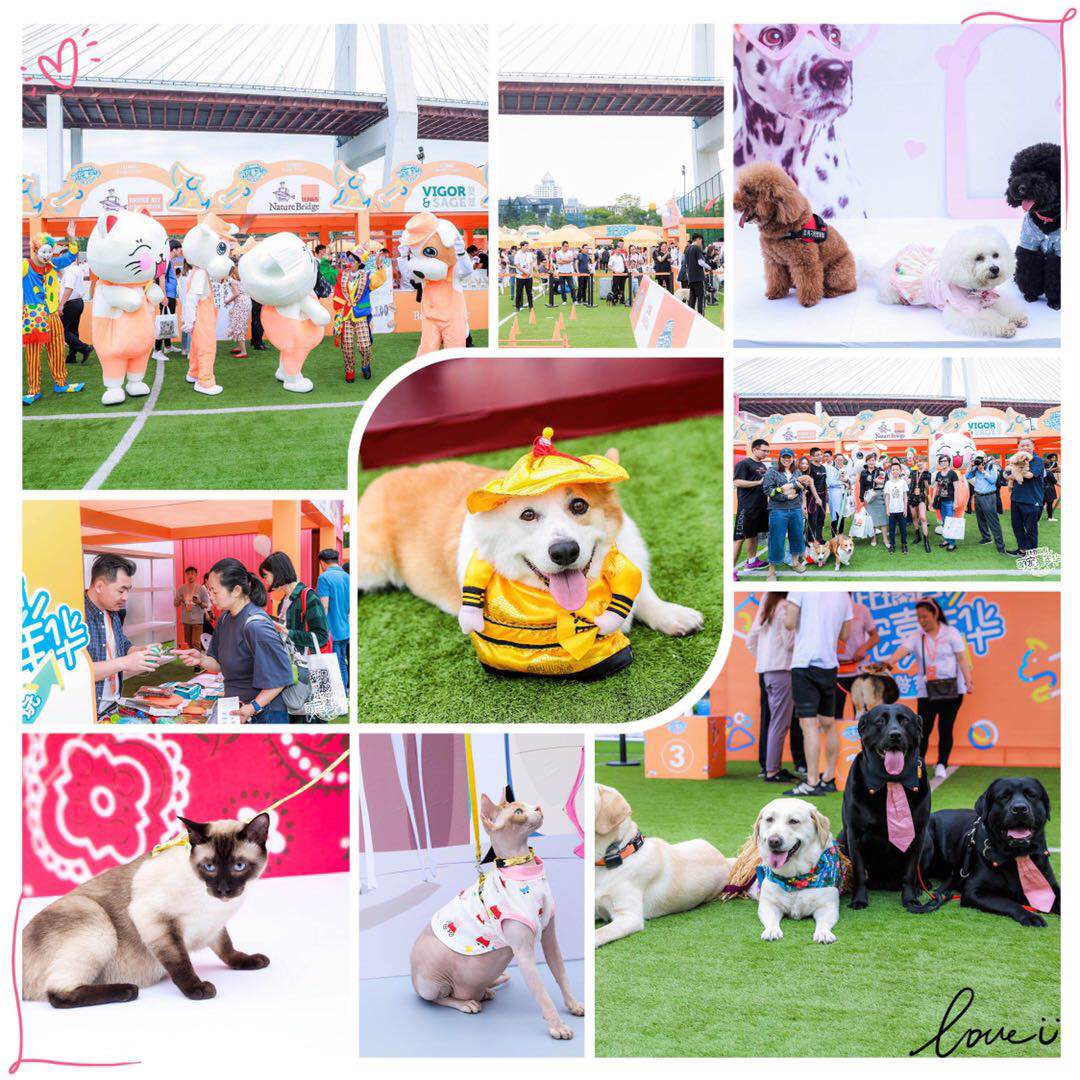 比瑞吉基础呵护,比瑞吉趣宠展