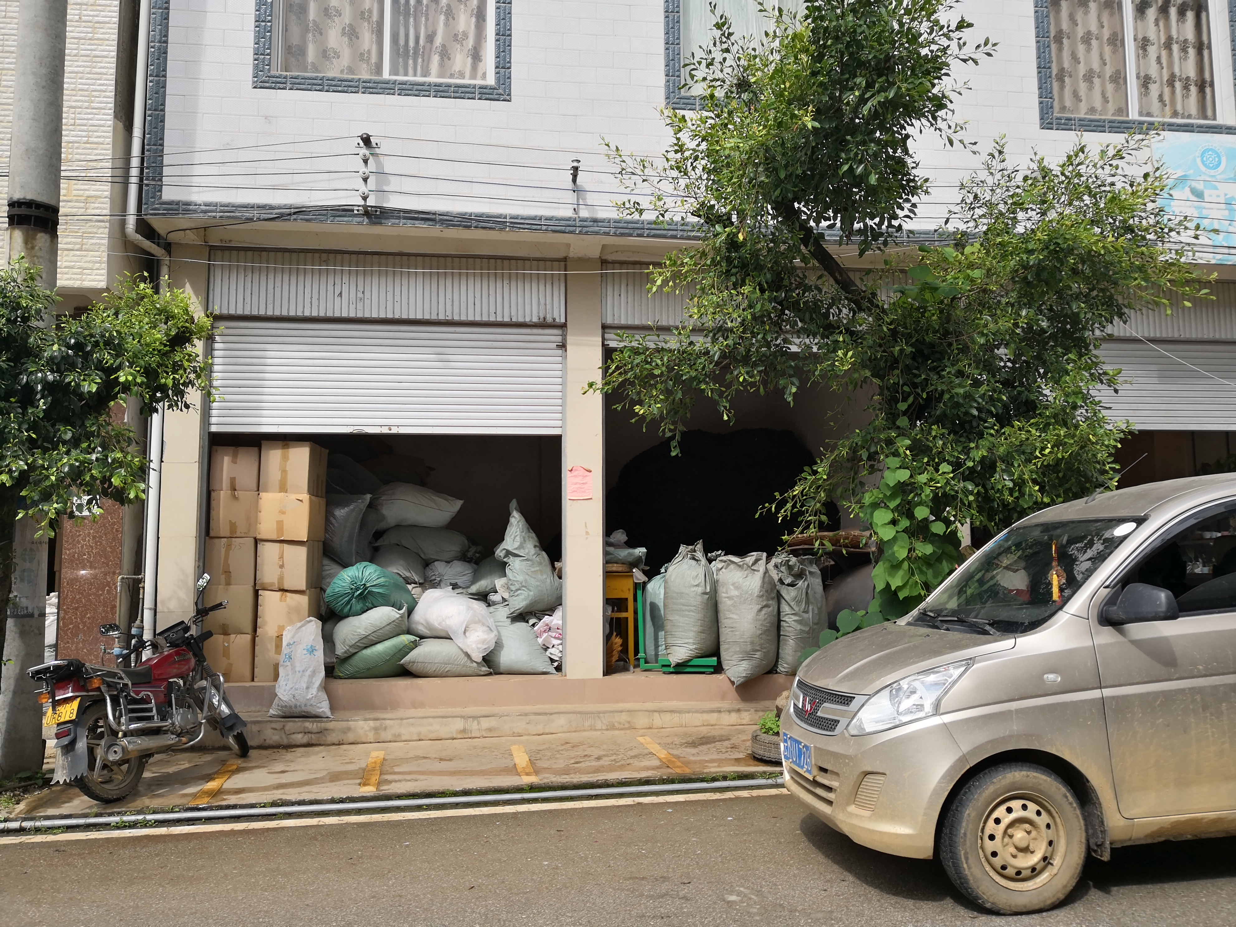 昌宁产业扶贫取得新成效,昌宁县农业脱贫项目