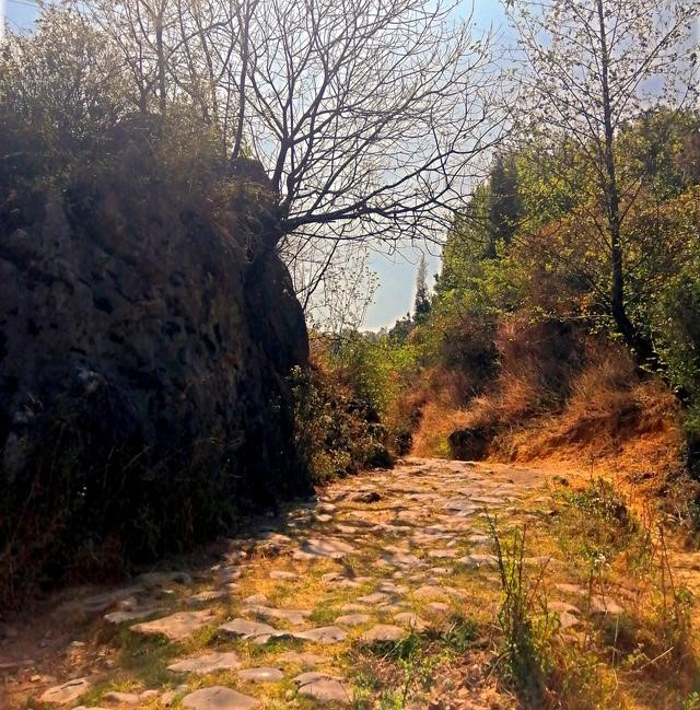 徐霞客游记完整视频,徐霞客游黄山后记全文