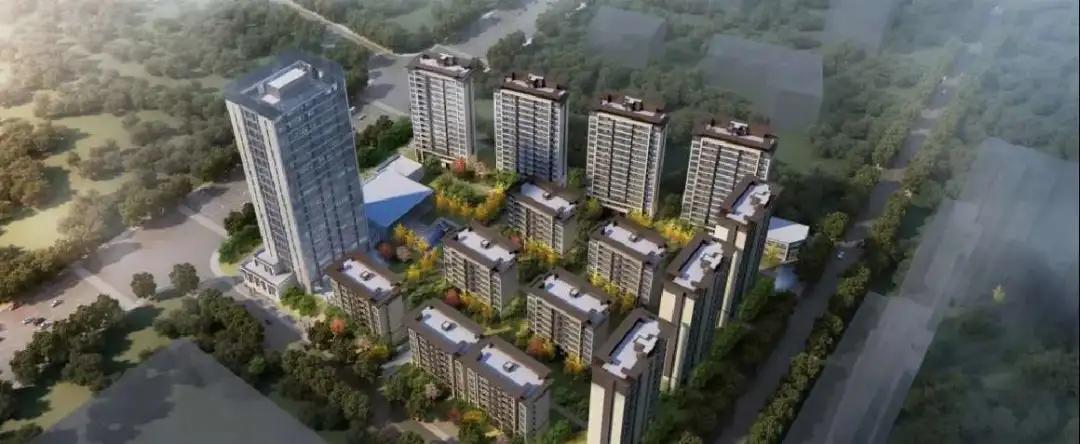 曾经爱理不理现在高攀不起视频,曾经爱理不理如今高不可攀