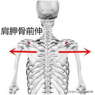 蓝盈莹直角肩一字锁骨,蓝盈莹直角肩