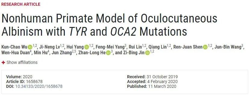 发现新型白化眼病猕猴模型,有望突破治疗人类眼皮肤白化病瓶颈|金子兵和占龙团队