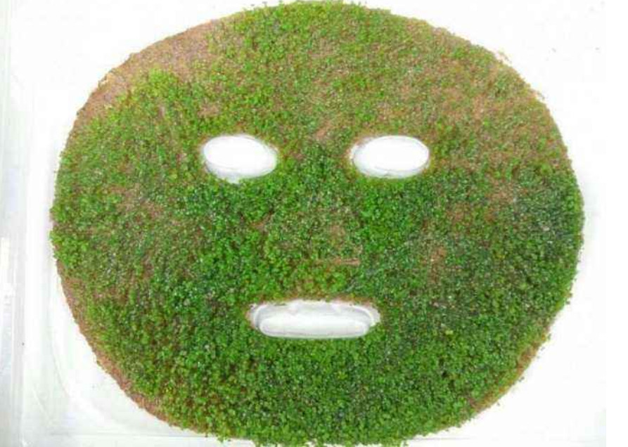 海藻面膜怎么用才有最好的效果,海藻面膜美白功效到底如何