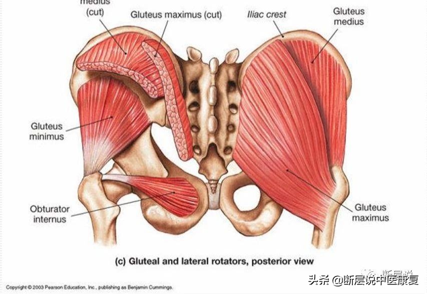 怎么缓解腰引起的臀部疼痛,怎样治疗腰痛和臀部肌肉疼痛