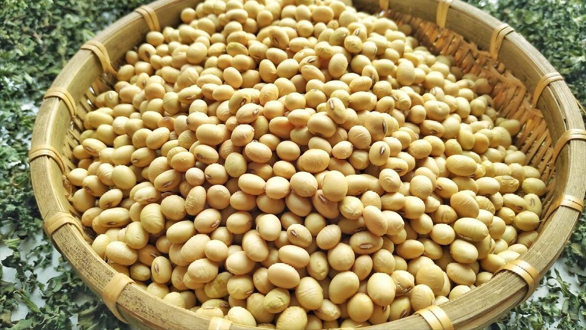 女人要想好孕需要怎么保养,女人想要健康身体好