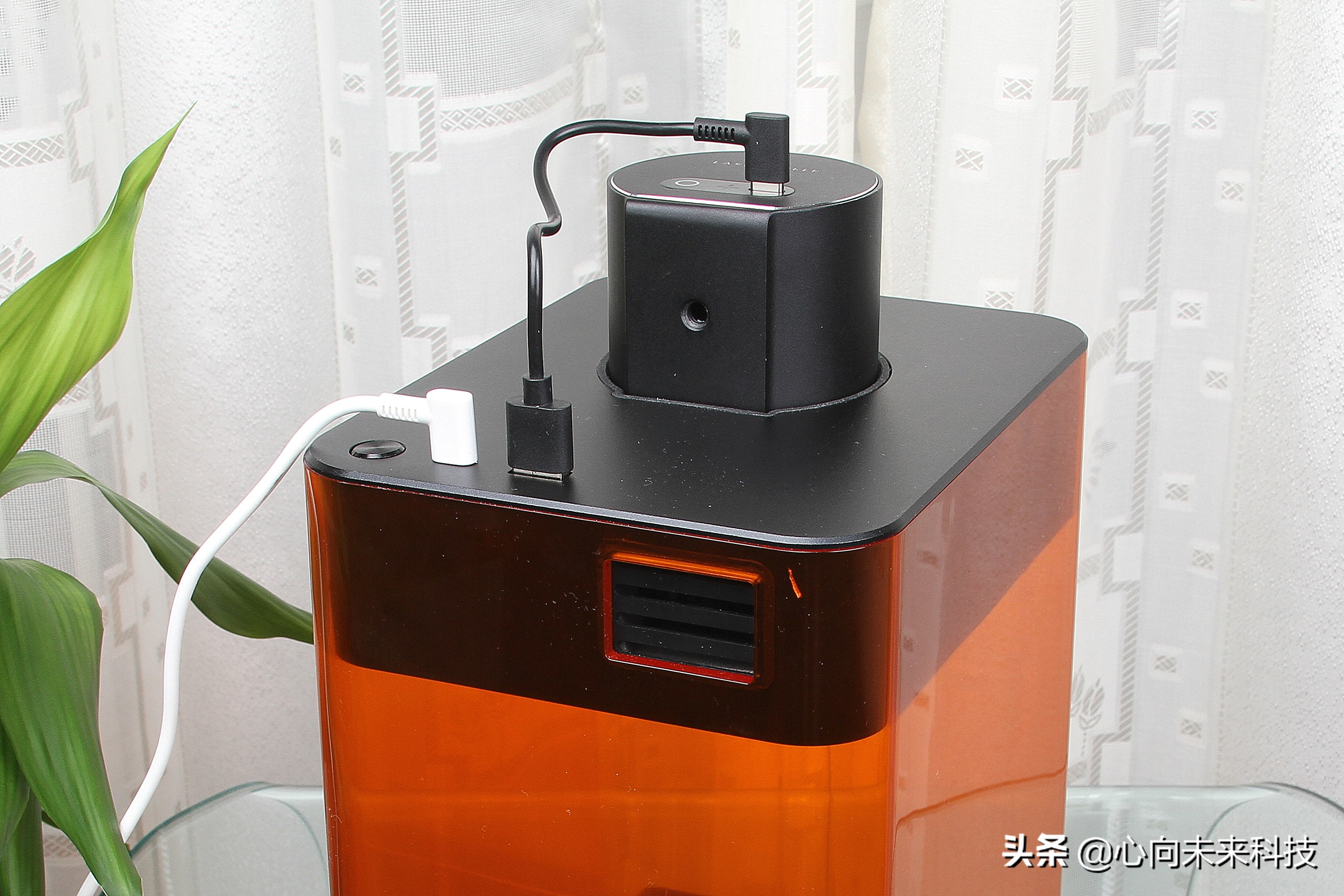 啄木鸟镭雕,啄木鸟激光雕刻机雕树叶