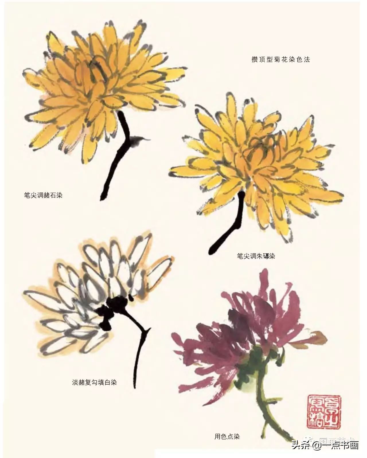 菊花画法教程简笔画,菊花拟人画法