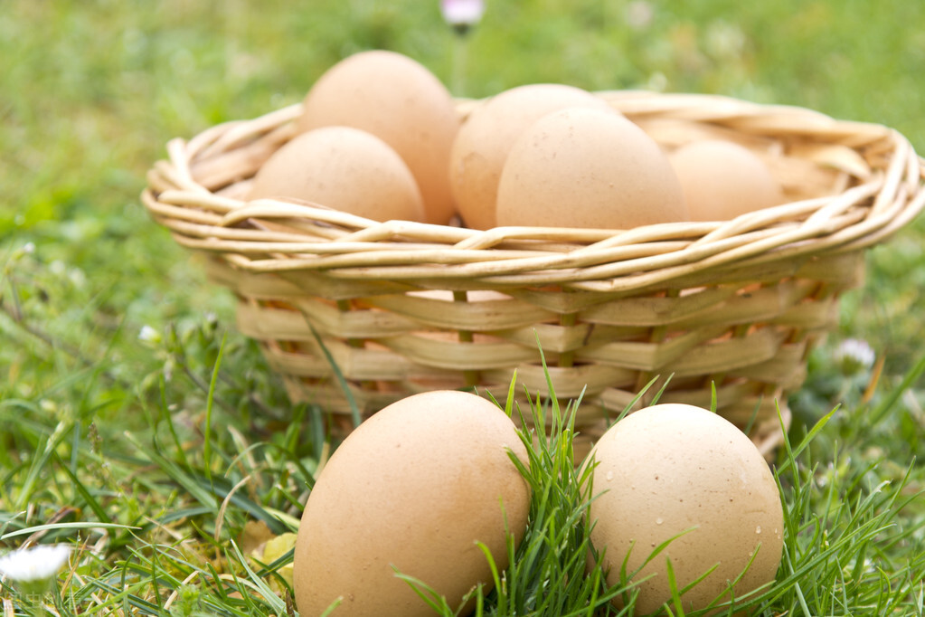 创业女性80后,浙江80后女人创业案例