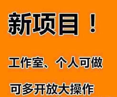 投资稳定收益高的项目,一次性投资永久收益的项目