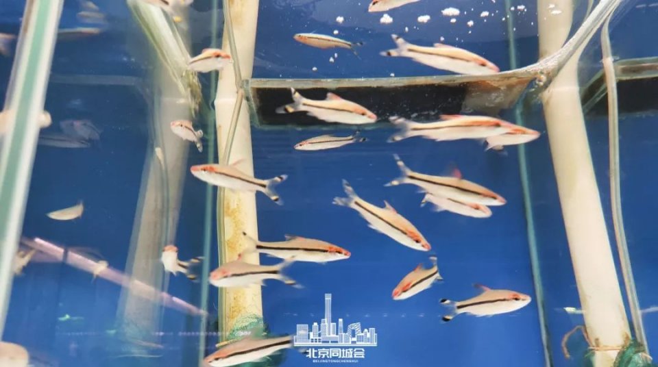 不去后悔去了更加后悔的景点,不去后悔去的景点