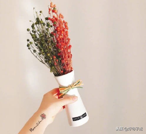 每日经典语录简短,短小金句语录