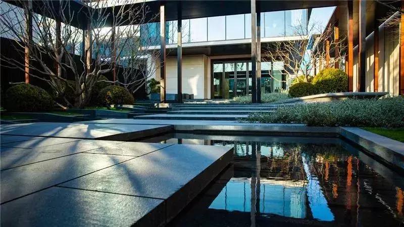 盘点郑州这些C位出道的热盘