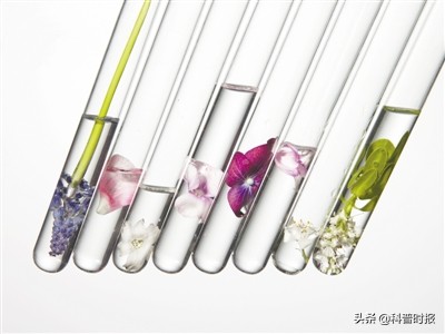 缇庡浜у搧鎶よ偆绉戞櫘,绉戞櫘缇庡浜у搧