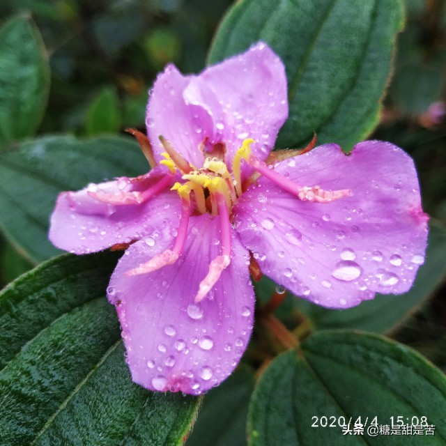 经典捉鬼灵异小说推荐,资深老读者推荐三本恐怖灵异小说