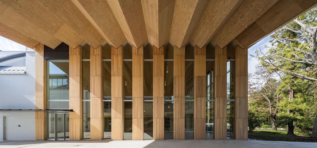 什么是lvl板材,lv材料介绍