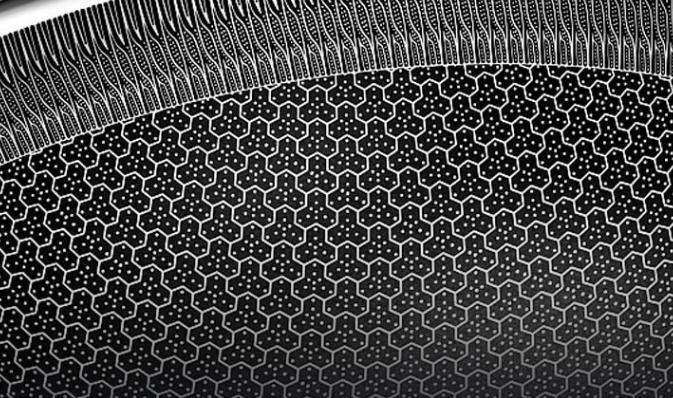 德国不粘锅398元,真正不粘锅的顶级炒锅