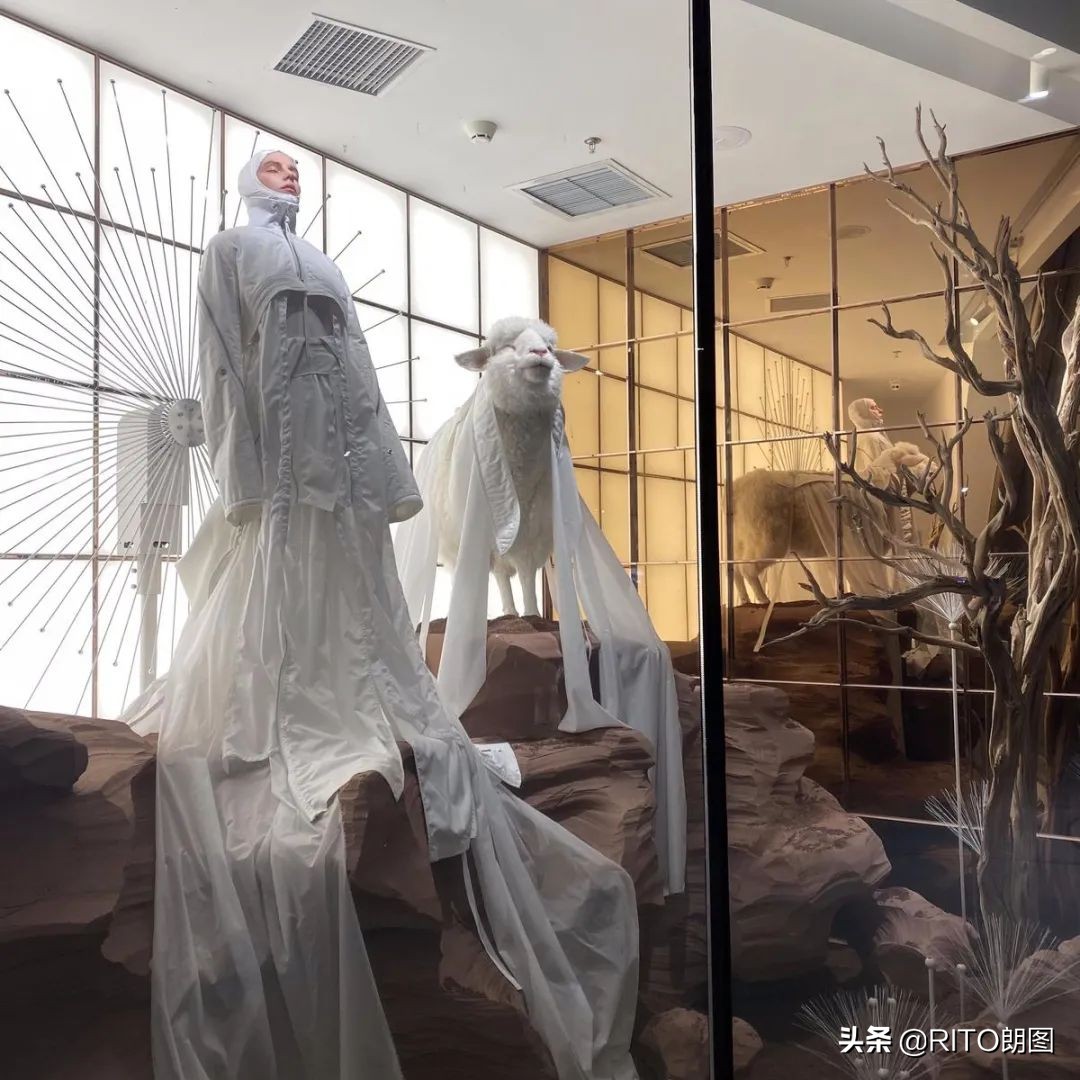 现象级新项目一览,现象级创业是什么