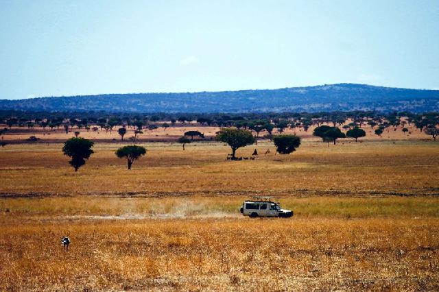 美爆了的风景图,美爆景区