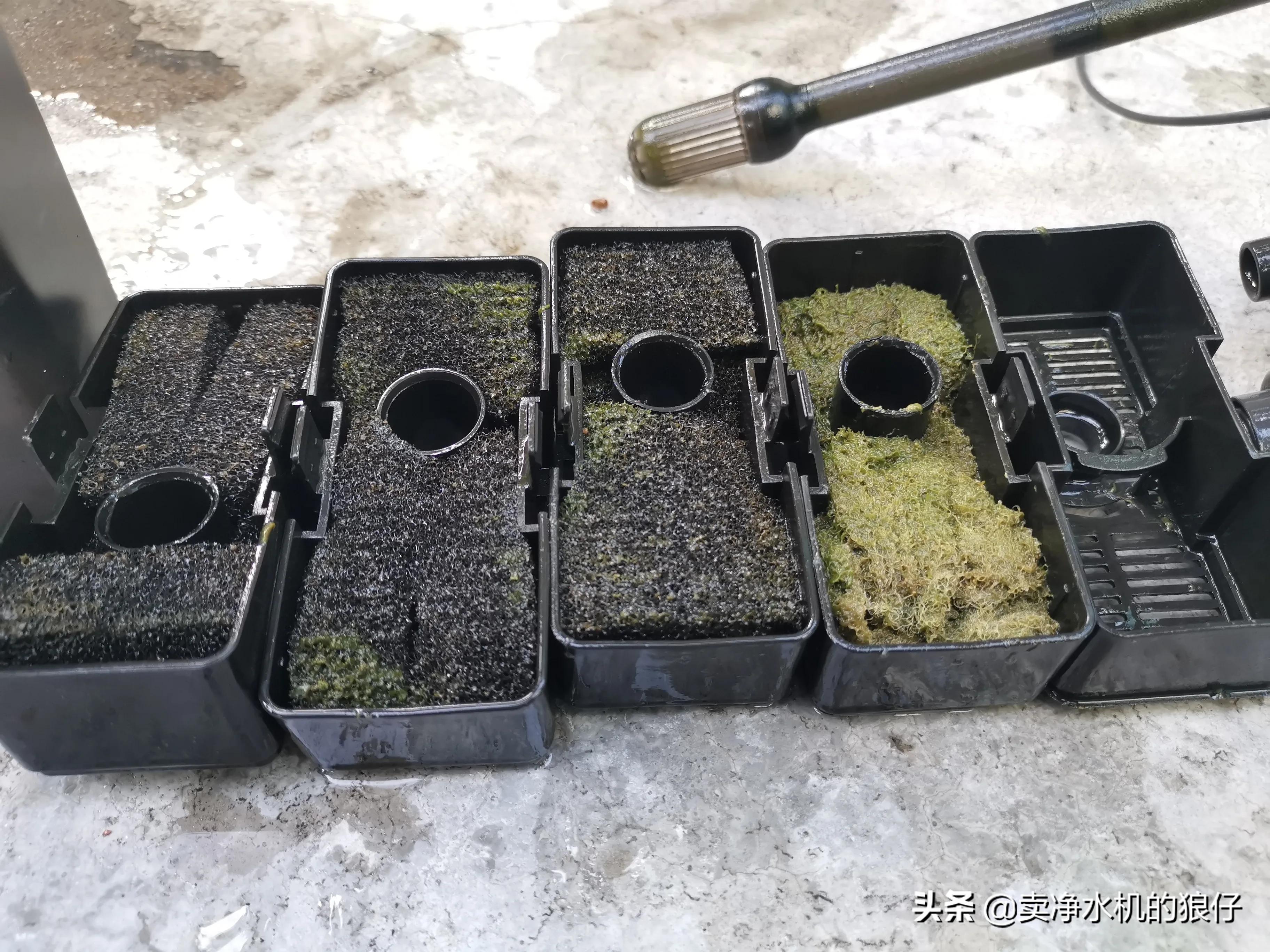 如何让小鱼缸变成空气缸,如何让鱼缸出现空气缸