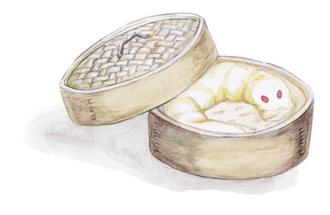 土狗老黑闯祸了读后感开头怎么写,土狗老黑闯祸了适合几年级学生看