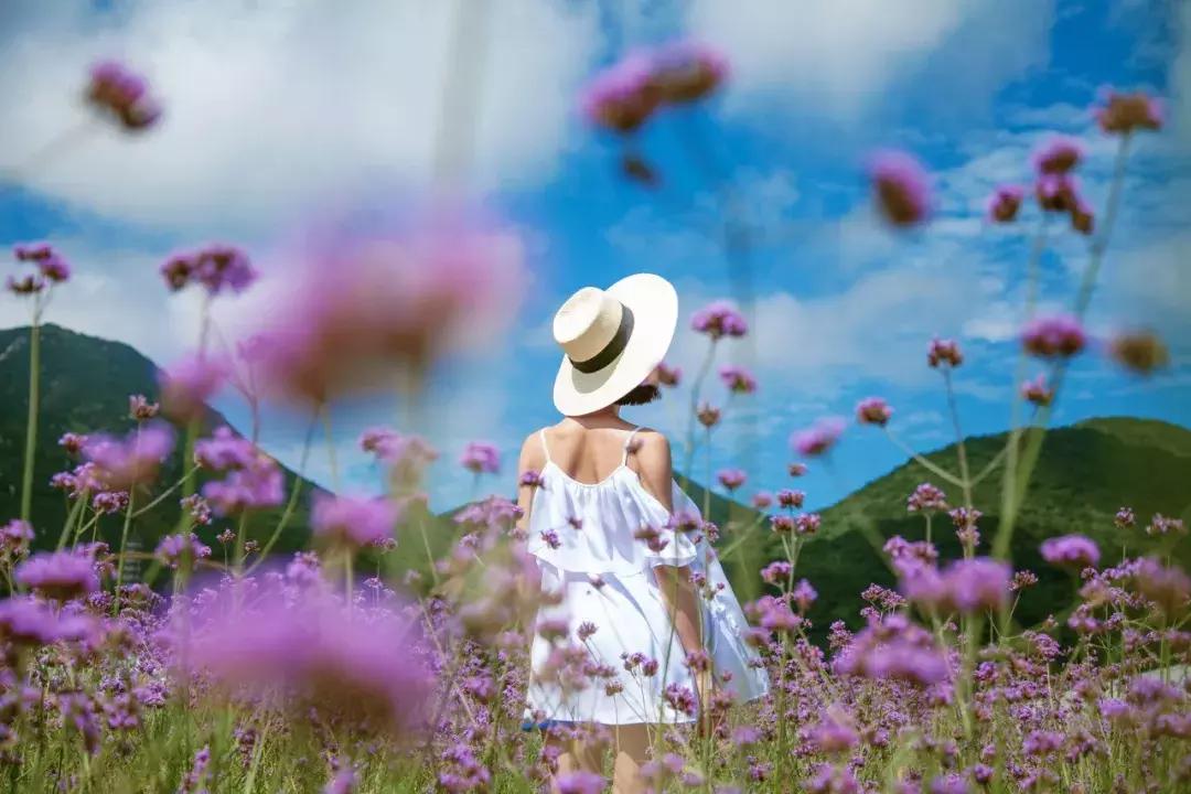 不相信眼泪的城市,深圳不相信眼泪抖音