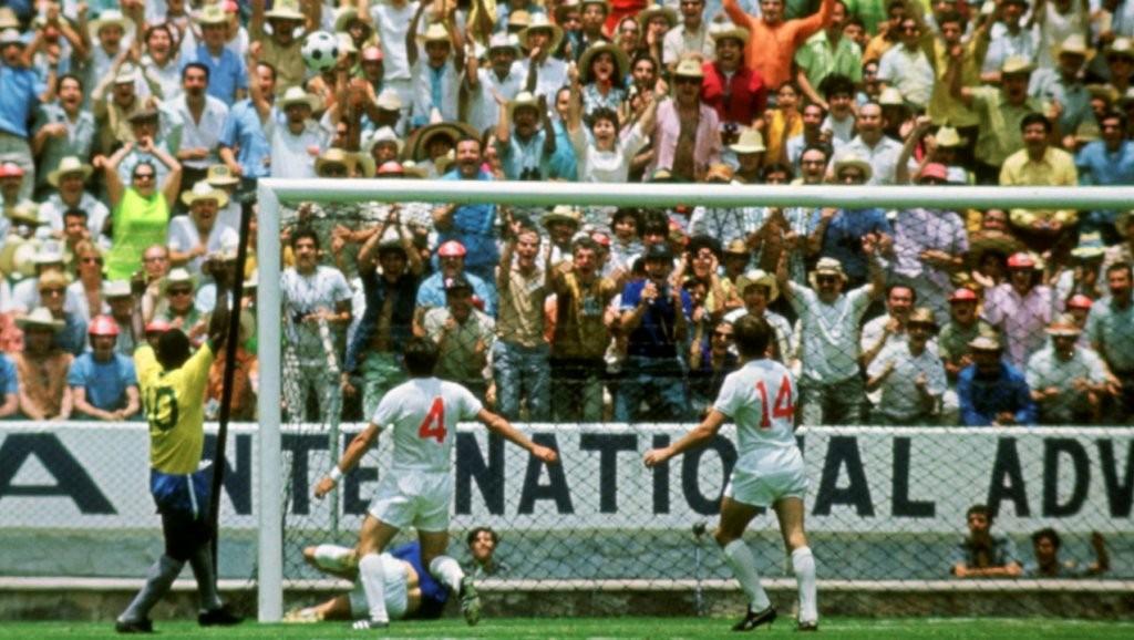 法国足球十大传奇人物,法国足球传奇守门员