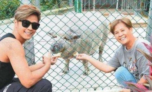 宋茜养猪奇葩视频,宋茜养猪达人完整视频