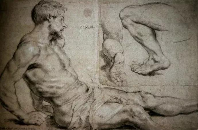 巨匠鲁本斯的素描作品图片,鲁本斯顶级素描